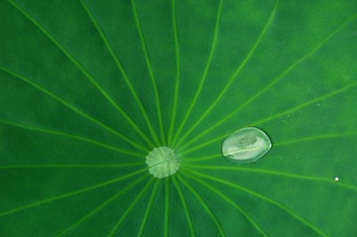 bio (9)
